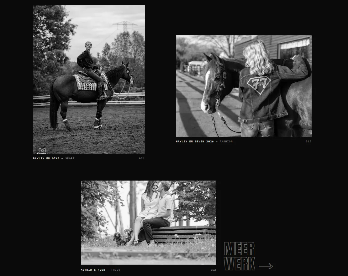 Website Picture Perfect — raster met recente albums